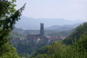 Image manquante